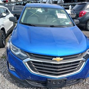 2019 CHEVROLET EQUINOX HOOD - 10436591