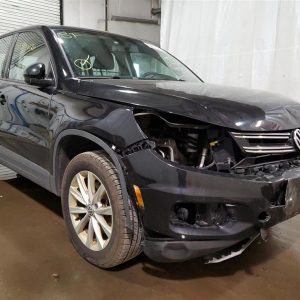 2017 VOLKSWAGEN TIGUAN DOOR ASSEMBLY FRONT - 3645117