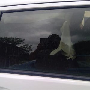 2016 HONDA FIT DOOR GLASS REAR - 10931542