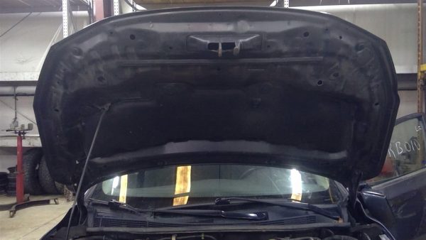 2017 NISSAN SENTRA HOOD - 11300466
