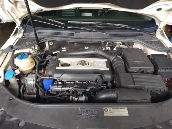 2010 VOLKSWAGEN CC GRILLE - 10587720