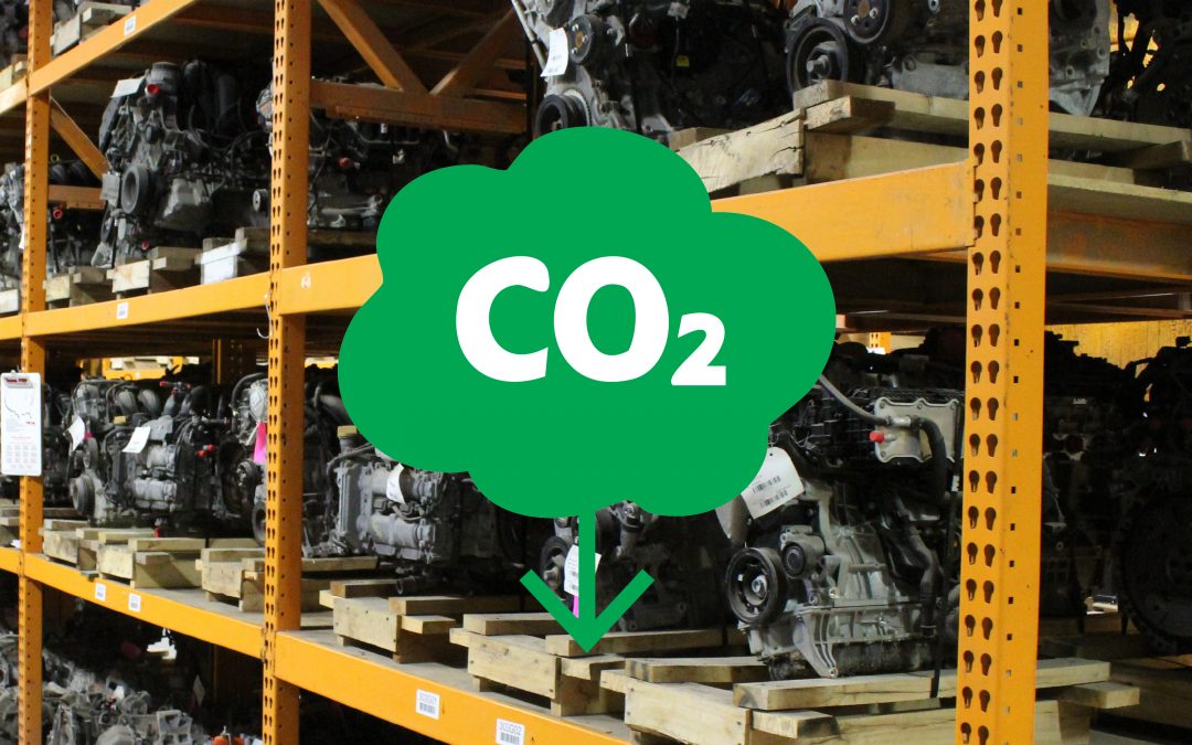 Cars and Carbon Savings